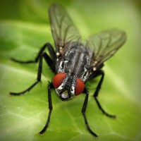 /album/%e8%84%b1%e6%af%9b%e3%83%a9%e3%83%9c%e5%b7%9d%e5%b4%8e%e3%80%82%e5%a4%a7%e5%ad%a6%e7%94%9f%e3%82%82%e9%80%9a%e3%81%88%e3%82%8b%e6%9c%88%e9%a1%8d%e3%82%b5%e3%83%ad%e3%83%b3/photolia-a01-jpg/