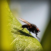 /album/%e8%84%b1%e6%af%9b%e3%83%a9%e3%83%9c%e5%b7%9d%e5%b4%8e%e3%80%82%e5%a4%a7%e5%ad%a6%e7%94%9f%e3%82%82%e9%80%9a%e3%81%88%e3%82%8b%e6%9c%88%e9%a1%8d%e3%82%b5%e3%83%ad%e3%83%b3/photolia-a04-jpg/