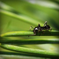 /album/%e8%84%b1%e6%af%9b%e3%83%a9%e3%83%9c%e5%b7%9d%e5%b4%8e%e3%80%82%e5%a4%a7%e5%ad%a6%e7%94%9f%e3%82%82%e9%80%9a%e3%81%88%e3%82%8b%e6%9c%88%e9%a1%8d%e3%82%b5%e3%83%ad%e3%83%b3/photolia-a05-jpg/