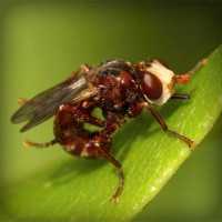 /album/%e8%84%b1%e6%af%9b%e3%83%a9%e3%83%9c%e5%b7%9d%e5%b4%8e%e3%80%82%e5%a4%a7%e5%ad%a6%e7%94%9f%e3%82%82%e9%80%9a%e3%81%88%e3%82%8b%e6%9c%88%e9%a1%8d%e3%82%b5%e3%83%ad%e3%83%b3/photolia-a06-jpg/