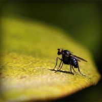 /album/%e8%84%b1%e6%af%9b%e3%83%a9%e3%83%9c%e5%b7%9d%e5%b4%8e%e3%80%82%e5%a4%a7%e5%ad%a6%e7%94%9f%e3%82%82%e9%80%9a%e3%81%88%e3%82%8b%e6%9c%88%e9%a1%8d%e3%82%b5%e3%83%ad%e3%83%b3/photolia-a07-jpg/