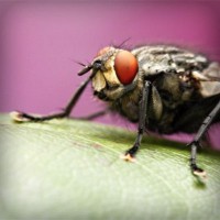 /album/%e8%84%b1%e6%af%9b%e3%83%a9%e3%83%9c%e5%b7%9d%e5%b4%8e%e3%80%82%e5%a4%a7%e5%ad%a6%e7%94%9f%e3%82%82%e9%80%9a%e3%81%88%e3%82%8b%e6%9c%88%e9%a1%8d%e3%82%b5%e3%83%ad%e3%83%b3/photolia-a08-jpg/